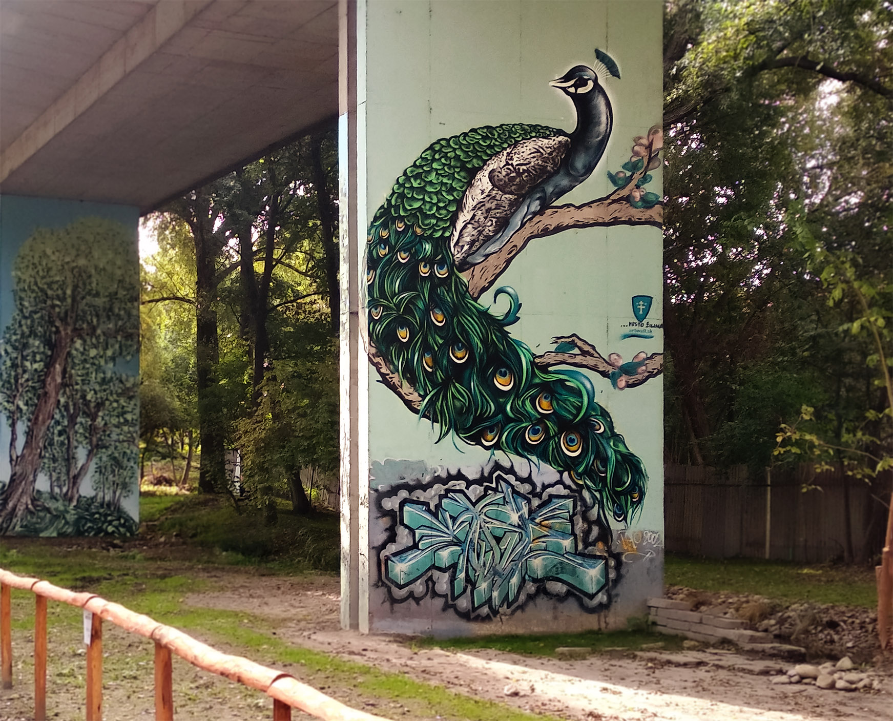 Peacock_street art